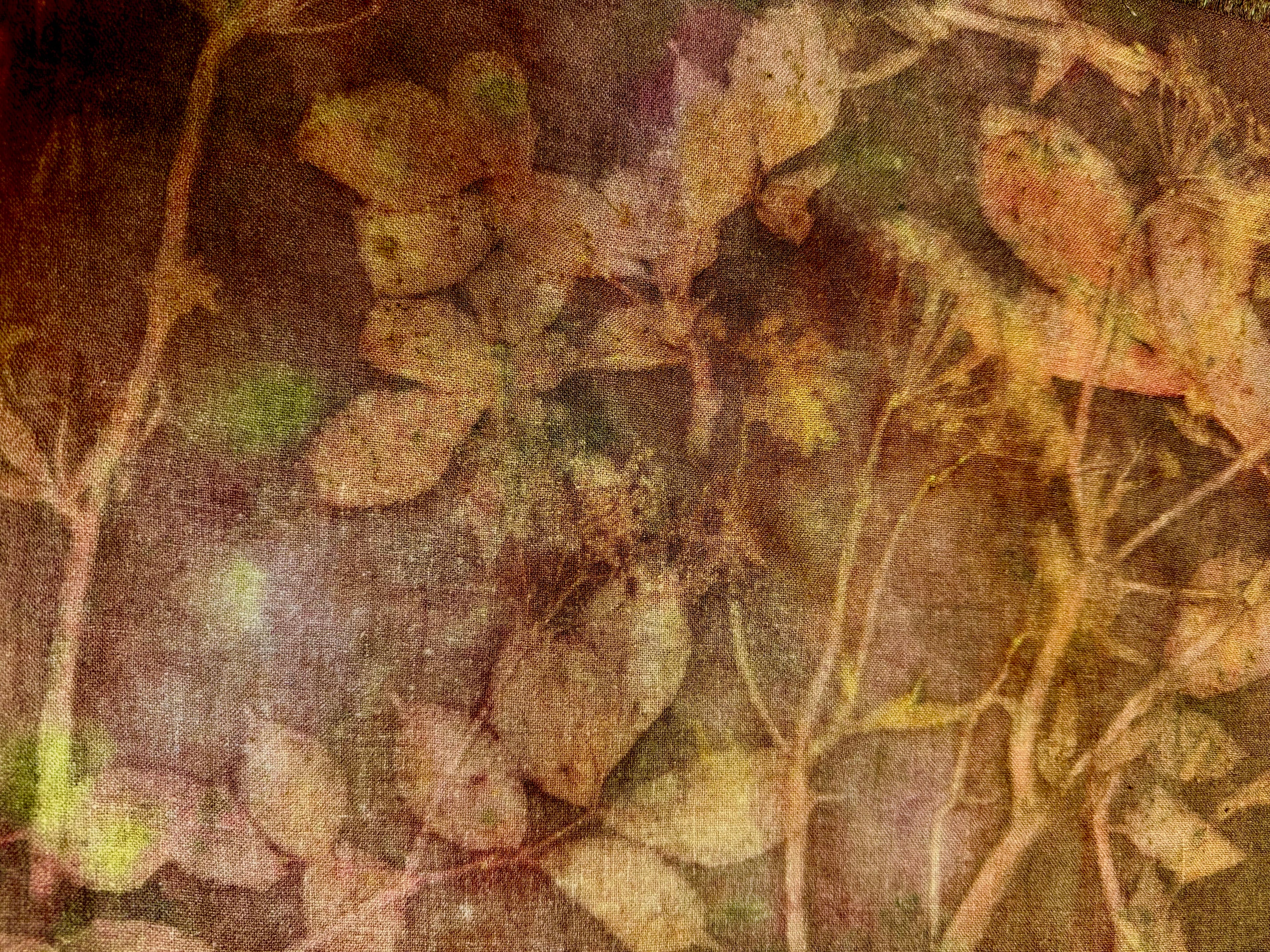 Eri handloomed silk shawl